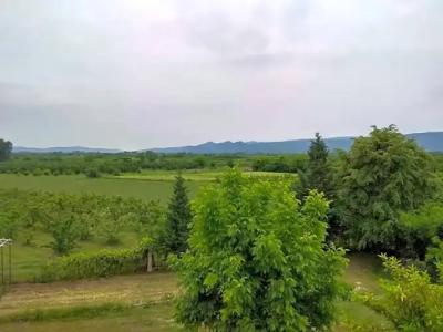 Gea Kaimaktsalan - 11