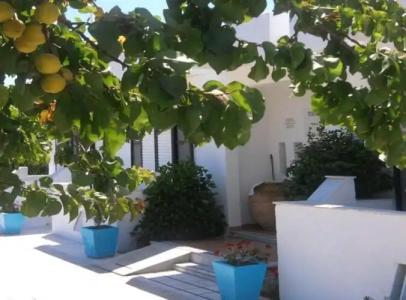 Nikos 2 Studios & Apartments - 48