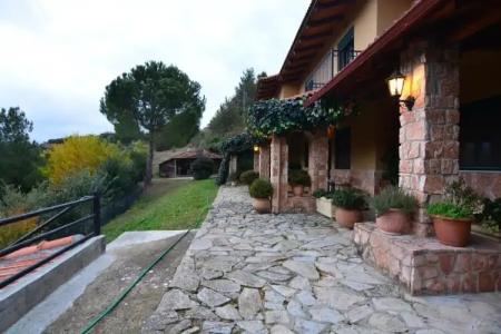 Aphrodite's Inn - 12