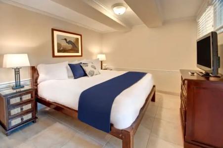 Coconut Palm Inn - 3