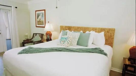 Coconut Palm Inn - 62