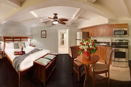 Coconut Palm Inn - 26