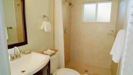 Coconut Palm Inn - 54