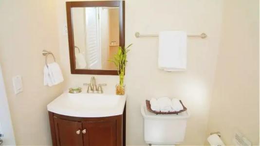 Coconut Palm Inn - 91