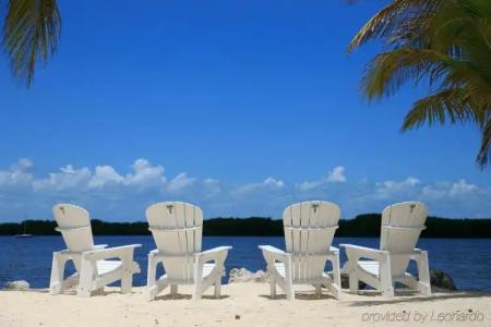 Coconut Palm Inn - 19