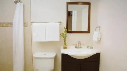 Coconut Palm Inn - 44