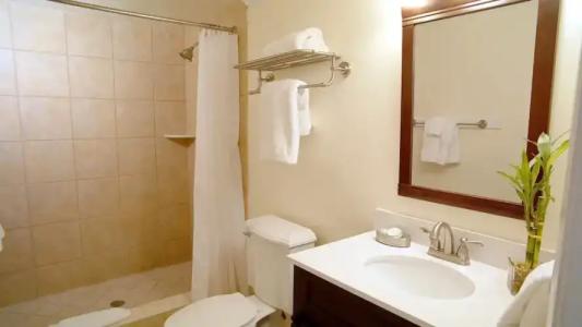 Coconut Palm Inn - 94