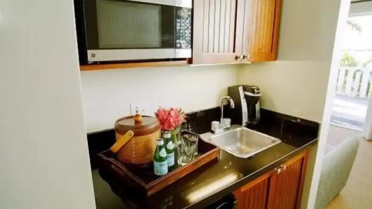 Coconut Palm Inn - 102