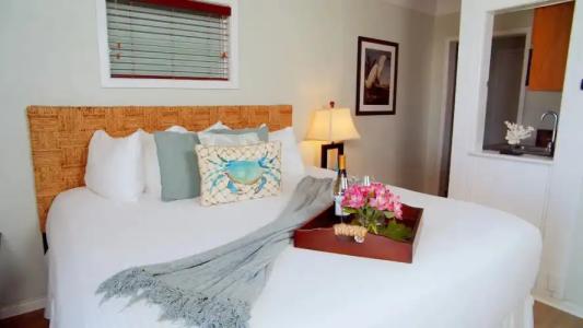 Coconut Palm Inn - 71