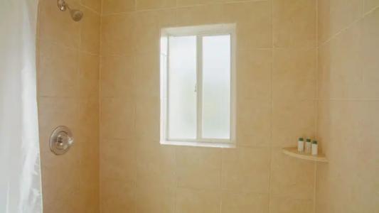 Coconut Palm Inn - 100