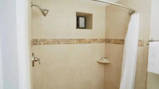 Coconut Palm Inn - 38