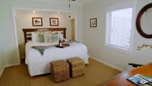 Coconut Palm Inn - 93