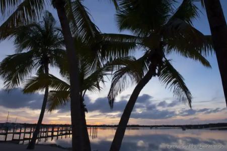 Coconut Palm Inn - 21