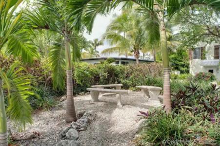 Coconut Palm Inn - 23