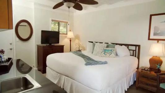 Coconut Palm Inn - 66