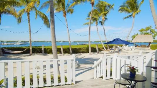 Coconut Palm Inn - 49