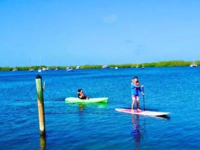 Coconut Palm Inn - 29