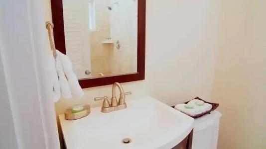 Coconut Palm Inn - 72