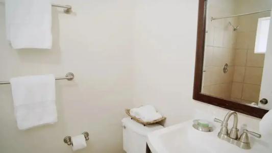 Coconut Palm Inn - 69