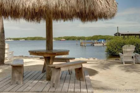 Coconut Palm Inn - 22