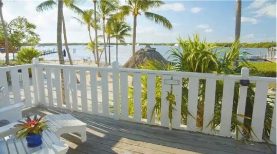 Coconut Palm Inn - 104