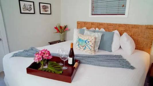 Coconut Palm Inn - 67