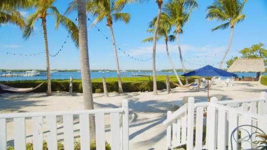 Coconut Palm Inn - 47