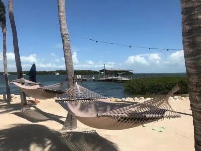 Coconut Palm Inn - 64