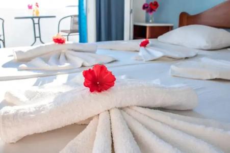 Princess Sissy A1 & Hostel - 62