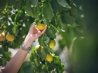 Mavrias Complex - 10