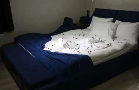 Hilton Garden Inn - 111