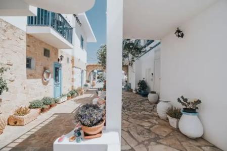 Saronis Agistri - Adults Only - 17