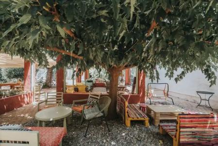 Saronis Agistri - Adults Only - 20