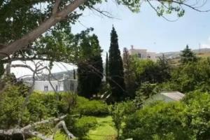 Saint Louis Suites, Andros