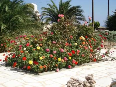 Fyrogenis Palace - Apartments - 16