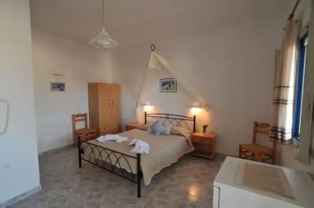 Thira's Dolphin - 37