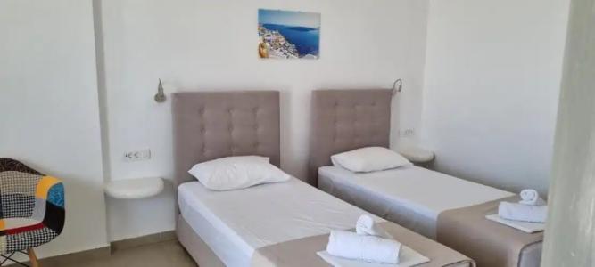 Thira's Dolphin - 107