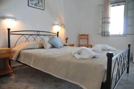 Thira's Dolphin - 39