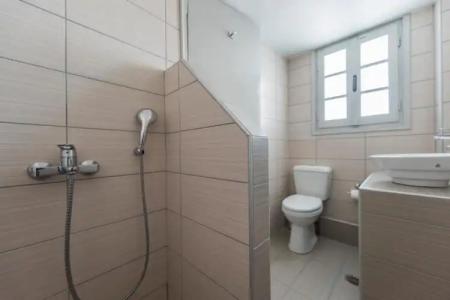 Thira's Dolphin - 50