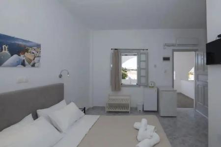 Thira's Dolphin - 27