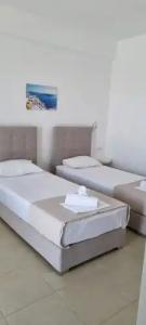 Thira's Dolphin - 41