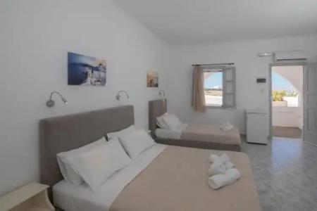 Thira's Dolphin - 44