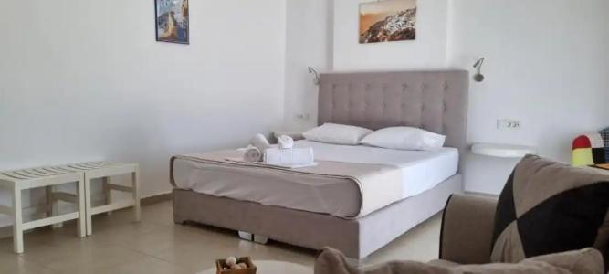 Thira's Dolphin - 102