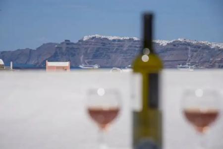 Thira's Dolphin - 98