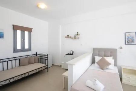 Thira's Dolphin - 55