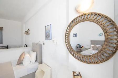 Thira's Dolphin - 54