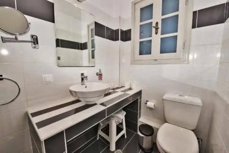 Thira's Dolphin - 49