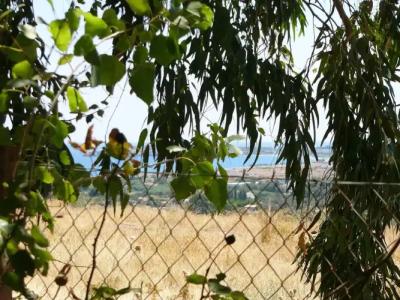 Helgas Paradise - 15