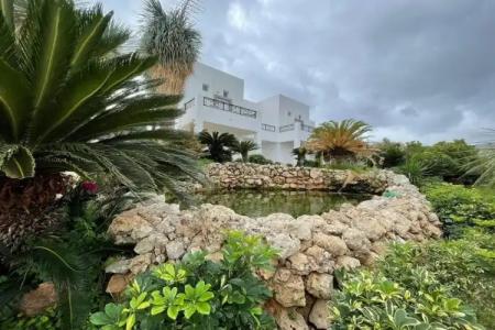 Lambis Studios & Apartments - 13