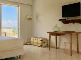 Standard Double room with garden view